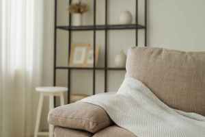 Modern living room with a low-allergen couch, bright natural light, and minimalist decor, representing a clean, healthy space after couch removal.