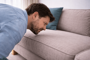 Man smelling a couch cushion after cleaning and noticing an unpleasant odor
